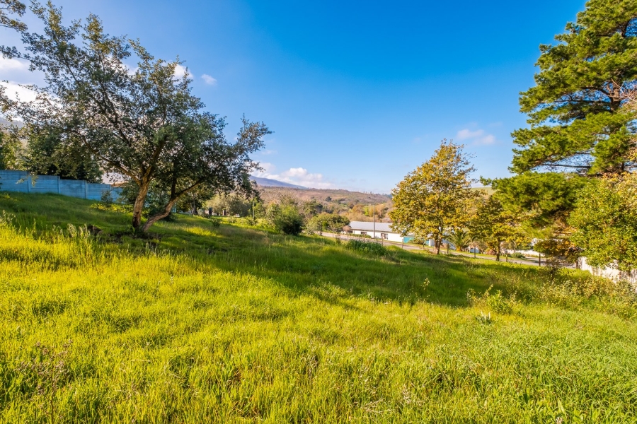 Commercial Property for Sale in Caledon Western Cape